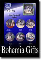 Bohemia Gift Cover